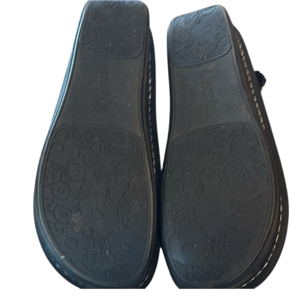 Alegria Irrdescent Mary Jane Clog, EUC, Size 39 - Picture 2 of 6